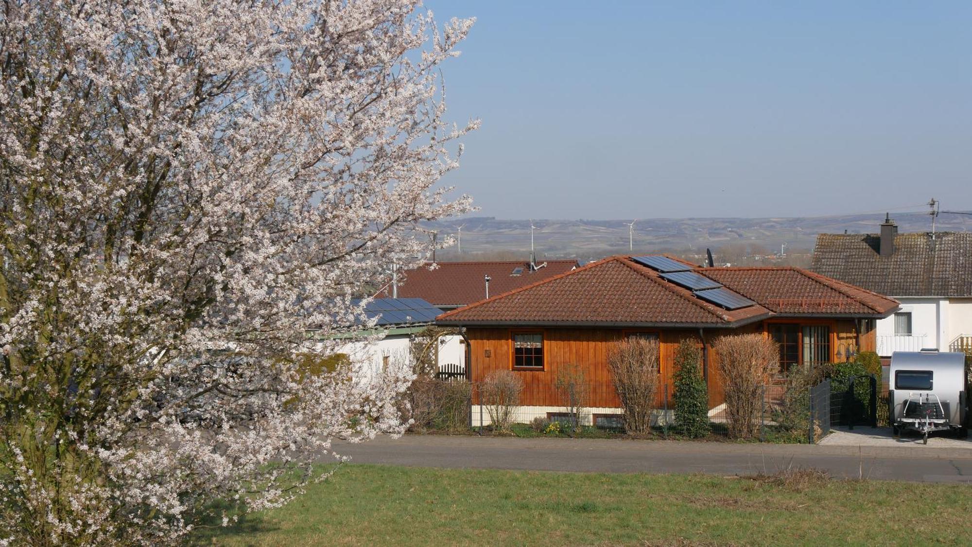 Ferienwohnung An Den Weingaerten Langenlonsheim Buitenkant foto
